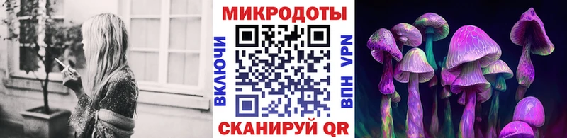 хочу наркоту Губкин Псилоцибиновые грибы MAGIC MUSHROOMS