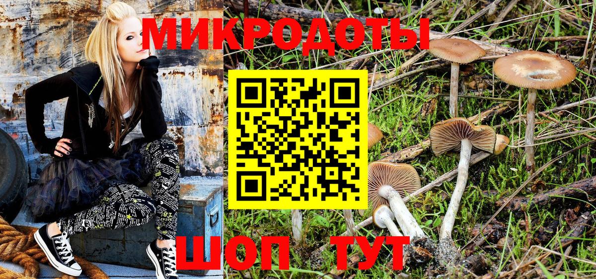 Псилоцибиновые грибы Psilocybe Губкин