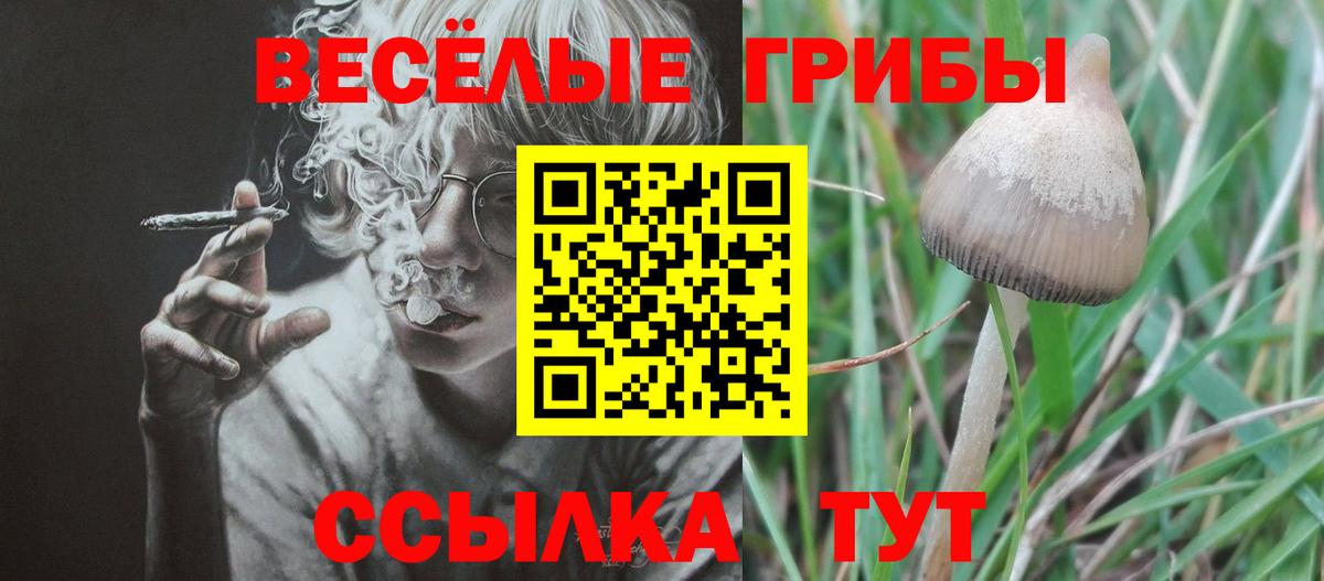 Галлюциногенные грибы Magic Shrooms  Псилоцибиновые грибы Psilocybine cubensis  Губкин  Вход с VPN 